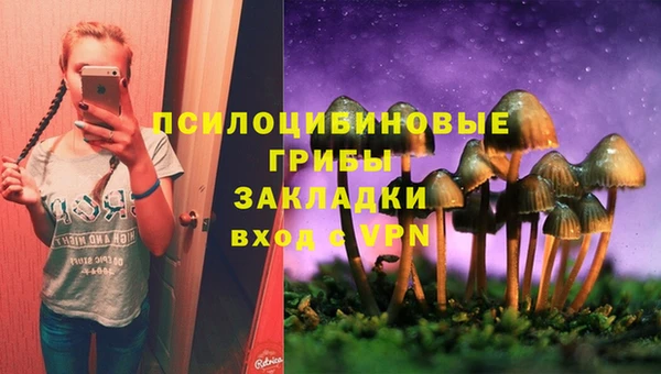 прущие грибы Алексеевка