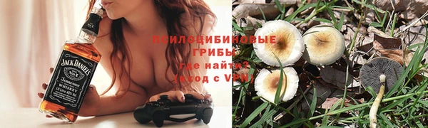 спиды Аркадак